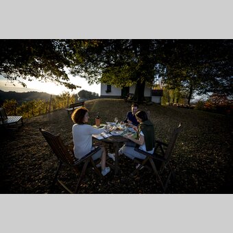 Buschenschank-snack during the Styrian Wine Country Cycling tour: Adam am Schererkogl, Gamlitz | © Steiermark Tourismus | Tom Lamm