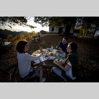 Buschenschank-snack during the Styrian Wine Country Cycling tour: Adam am Schererkogl, Gamlitz | © Steiermark Tourismus | Tom Lamm