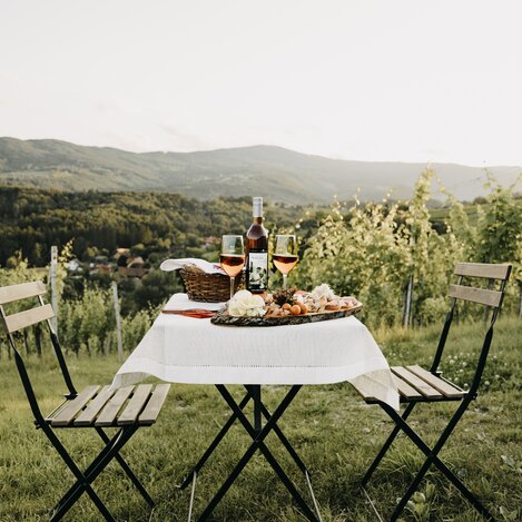 im Schilcherweingarten nahe Stainz | © Schilcherland Steiermark | Nadine Geuter Photography