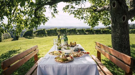 der Tisch ist gedeckt im Sommerurlaub | © Steiermark Tourismus | Bernhard Bergmann