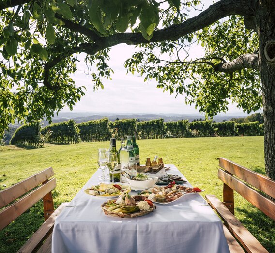 der Tisch ist gedeckt im Sommerurlaub | © Steiermark Tourismus | Bernhard Bergmann