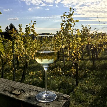 Traminer im Traminerweingarten