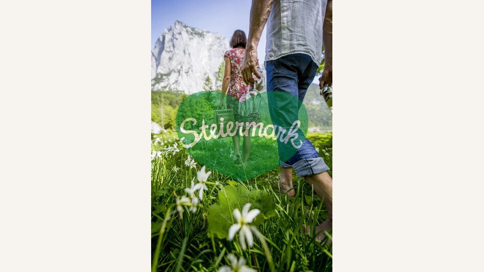 Auf dem Weg zum Picknick zur Narzissenblüte | © STG | Tom Lamm