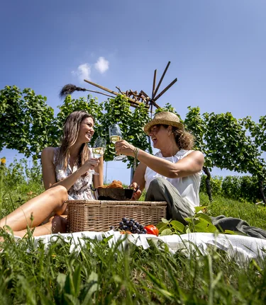 Picknick im Weingarten (mit Klapotetz, Ratsch a. d. Weinstraße) | © STG | Tom Lamm