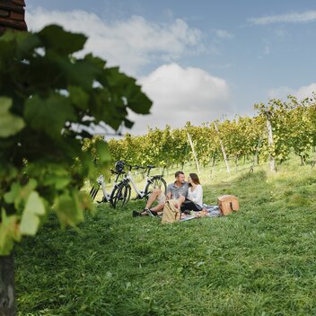 Rad-Picknick in St. Ruprecht an der Raab | © Oststeiermark Tourismus | Die Mosbacher's