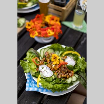 Sommersalat mit Schwammerln | © STG | Tom Lamm