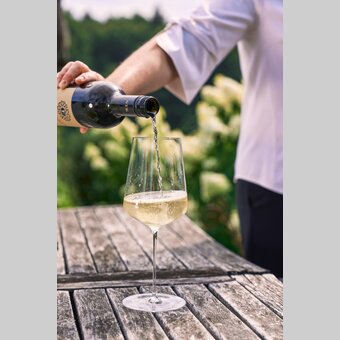 Weingenuss im Weingut Frauwallner | © Thermen- & Vulkanland | Robert Maybach