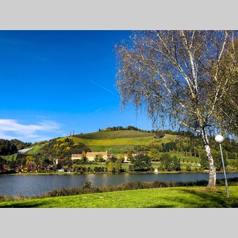 Center of learning for fruit-growing and winegrowing Silberberg at the Sulmsee (lake), Leibnitz | © Steiermark Tourismus | Ute Hödl