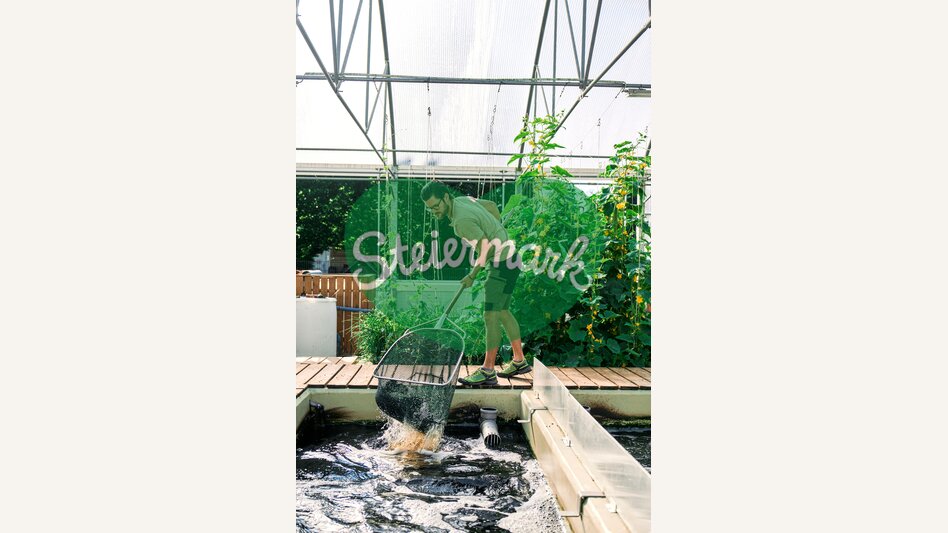 Martin Temmel in seiner Aquafarm bei der Arbeit | © Erzberg-Leoben | Robert Maybach