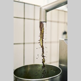 Kürbiskernöl Weinhandmühle | © Thermen- & Vulkanland | Robert Maybach