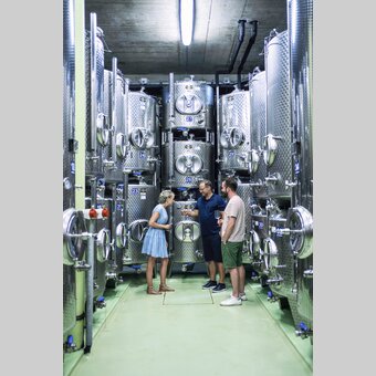Verkostung Weingut Frauwallner | © Thermen- & Vulkanland | Robert Maybach