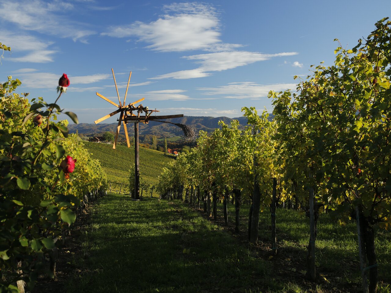 Klapotetz, das Wahrzeichen des steirischen Weinlandes  | © STG | Herbert Raffalt