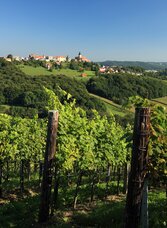 Klöcher Weinstraße mit Blick auf St. Anna am Aigen