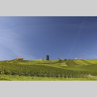 Südsteirisches Weinstraße | © STG | Harry Schiffer