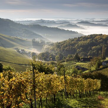 Südsteiermark