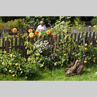 Die Oststeiermark - der Garten Österreichs | © TV Oststeiermark | Bernhard Bergmann