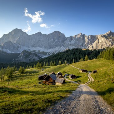 Neustattalm am Fuße des Dachsteins, Ramsau am Dachstein