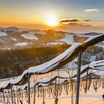 Winter in der Südsteiermark