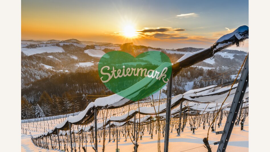 Winer in Southern Styria | © Steiermark Tourismus | pixelmaker.at