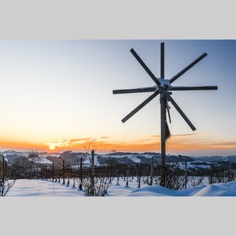 Winer in Southern Styria | © Steiermark Tourismus | pixelmaker.at
