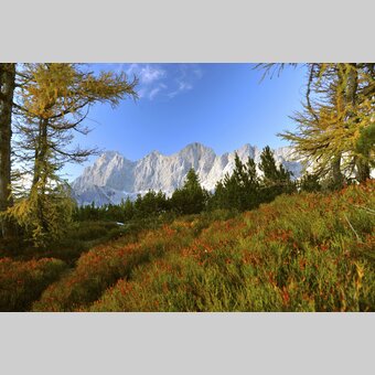 Dachstein im Herbst | © STG | photo-austria.at