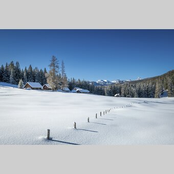Viehbergalm bei Gröbming | © STG | photo-austria.at