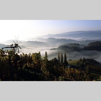 Steirisches Weinland | © Steiermark Tourismus | Gery Wolf