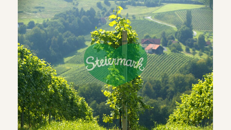 © Steiermark Tourismus | Harry Schiffer