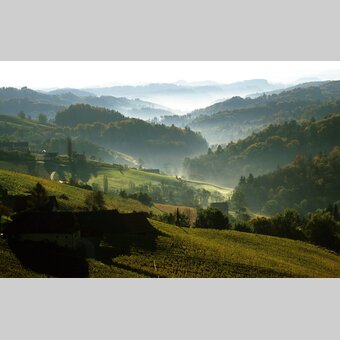 Weinland | © Steiermark Tourismus | Gery Wolf