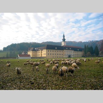 Stift Rein | © Stift Rein
