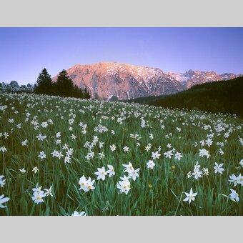 Grimming | © Steiermark Tourismus | Popp-Hackner