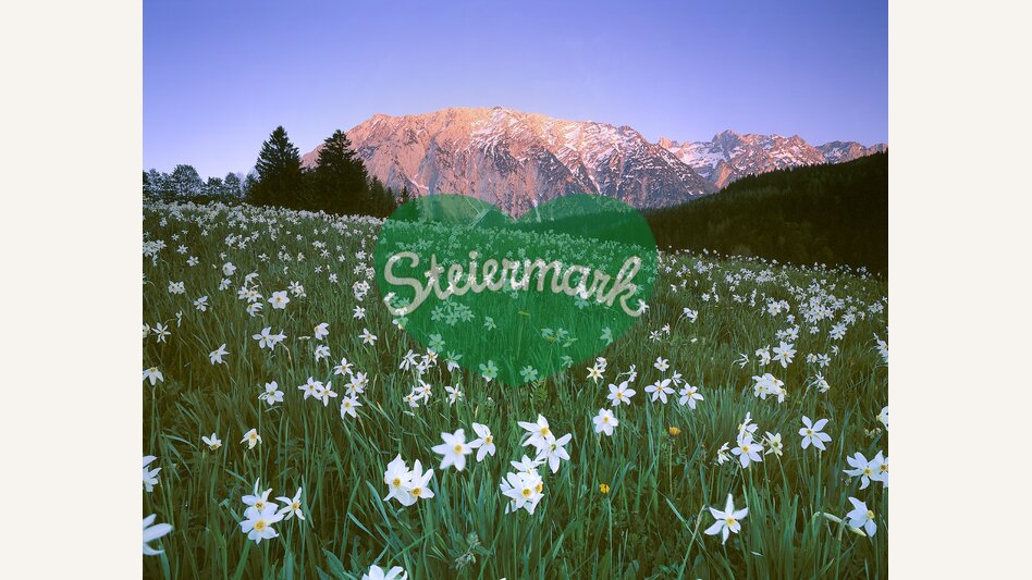 Grimming | © Steiermark Tourismus | Popp-Hackner