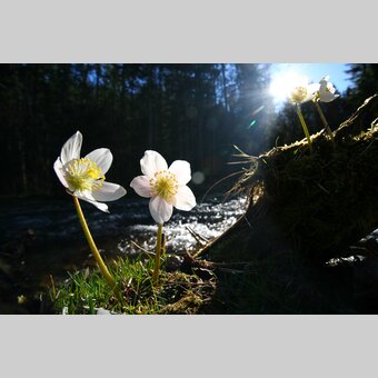 © Steiermark Tourismus | photo-austria.at