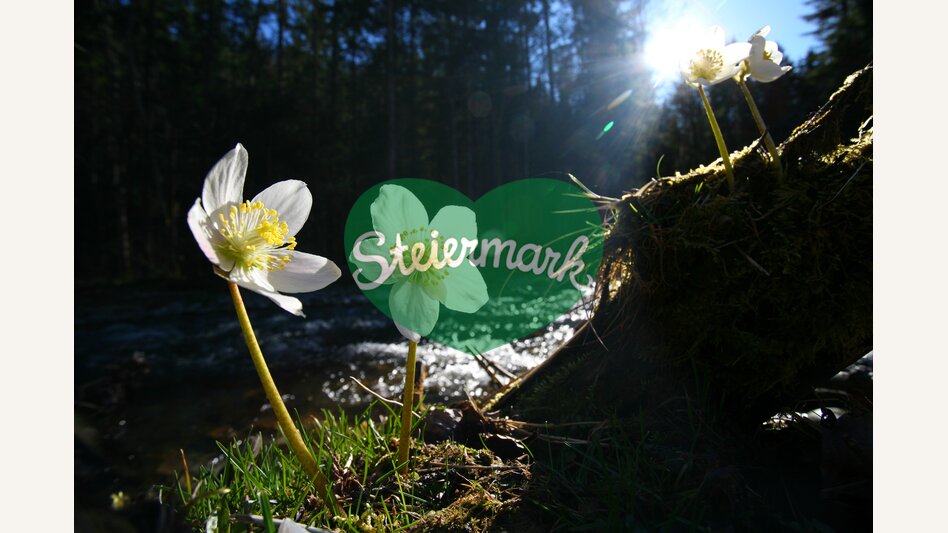© Steiermark Tourismus | photo-austria.at