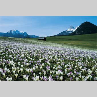 228279, EH00780 | © Steiermark Tourismus | www.christianjungwirth.com