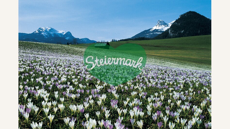 228279, EH00780 | © Steiermark Tourismus | www.christianjungwirth.com