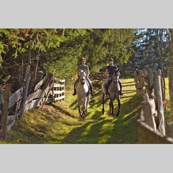 Riding | © Steiermark Tourismus | photo-austria.at
