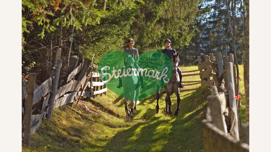 Riding | © Steiermark Tourismus | photo-austria.at