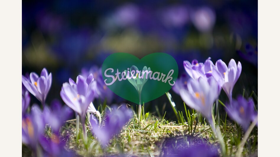 © Steiermark Tourismus | Reinhard Lamm