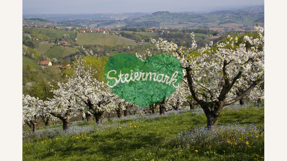 © Steiermark Tourismus | Reinhard Lamm