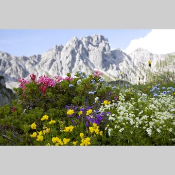 © Steiermark Tourismus