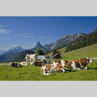 © Steiermark Tourismus