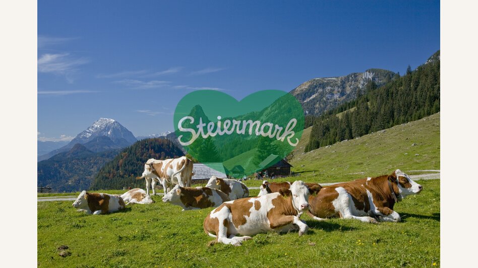© Steiermark Tourismus