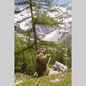 © Steiermark Tourismus | R. Lamm