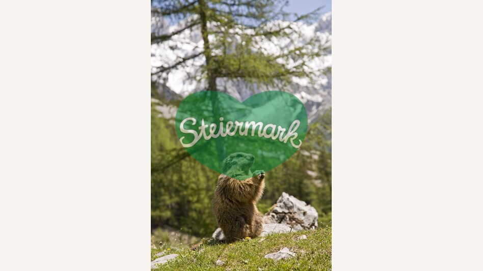 © Steiermark Tourismus | R. Lamm