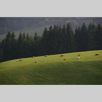 © Steiermark Tourismus | Schiffer-Symbol