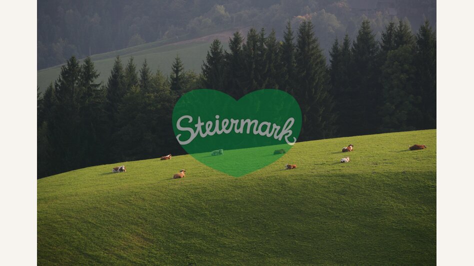 © Steiermark Tourismus | Schiffer-Symbol