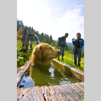 Cooling down is a must | © Steiermark Tourismus | Tom Lamm