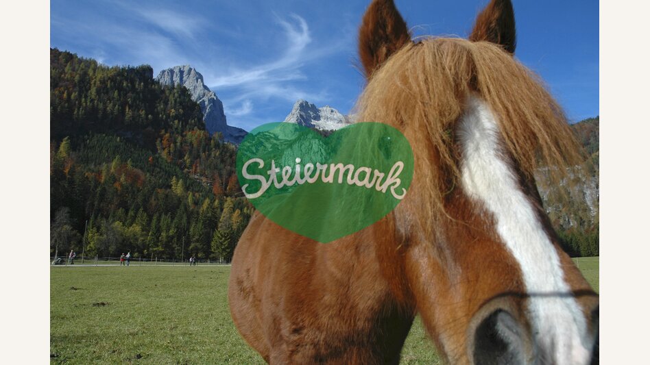 © Steiermark Tourismus | Wolfgang Hummer