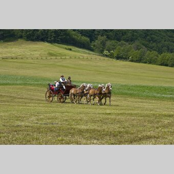 © Steiermark Tourismus | Tom Lamm